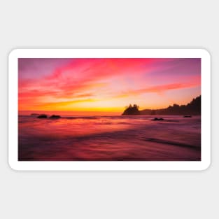 Sunset at the Beach Sticker